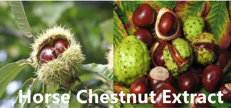 horse chestnut extract powder.jpg